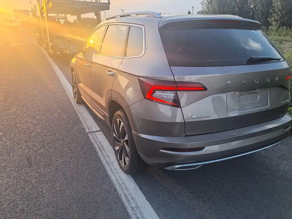 Skoda Karoq — фото 6