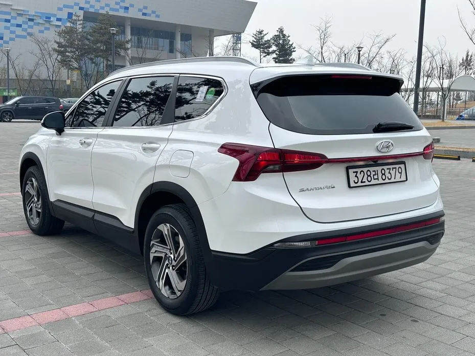 Hyundai Santafe — фото 10