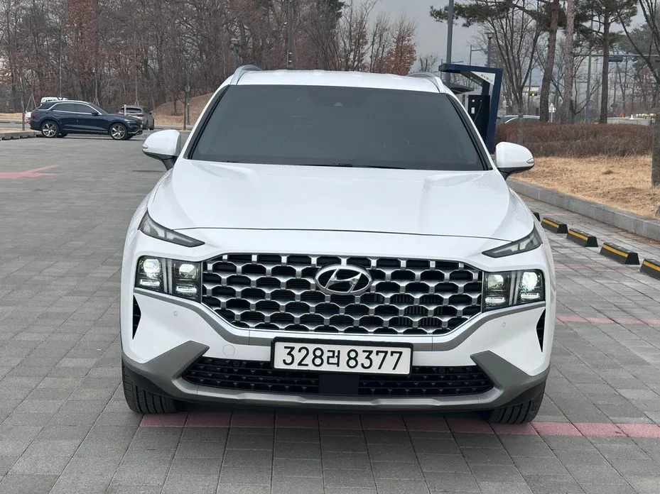 Hyundai Santafe — фото 6