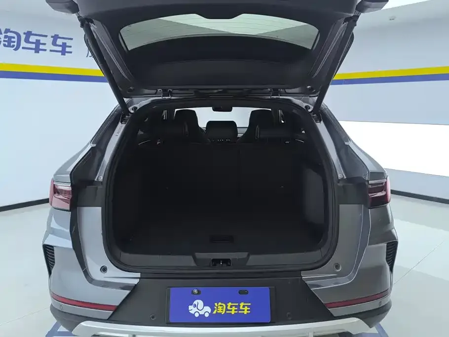 BYD PLUS New Energy — фото 10
