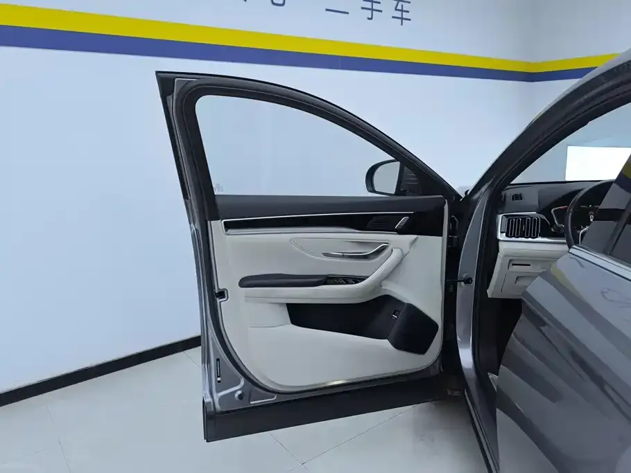 BYD PLUS New Energy — фото 3