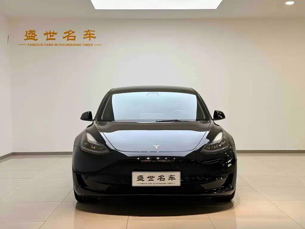 Tesla Model 3 — фото 2