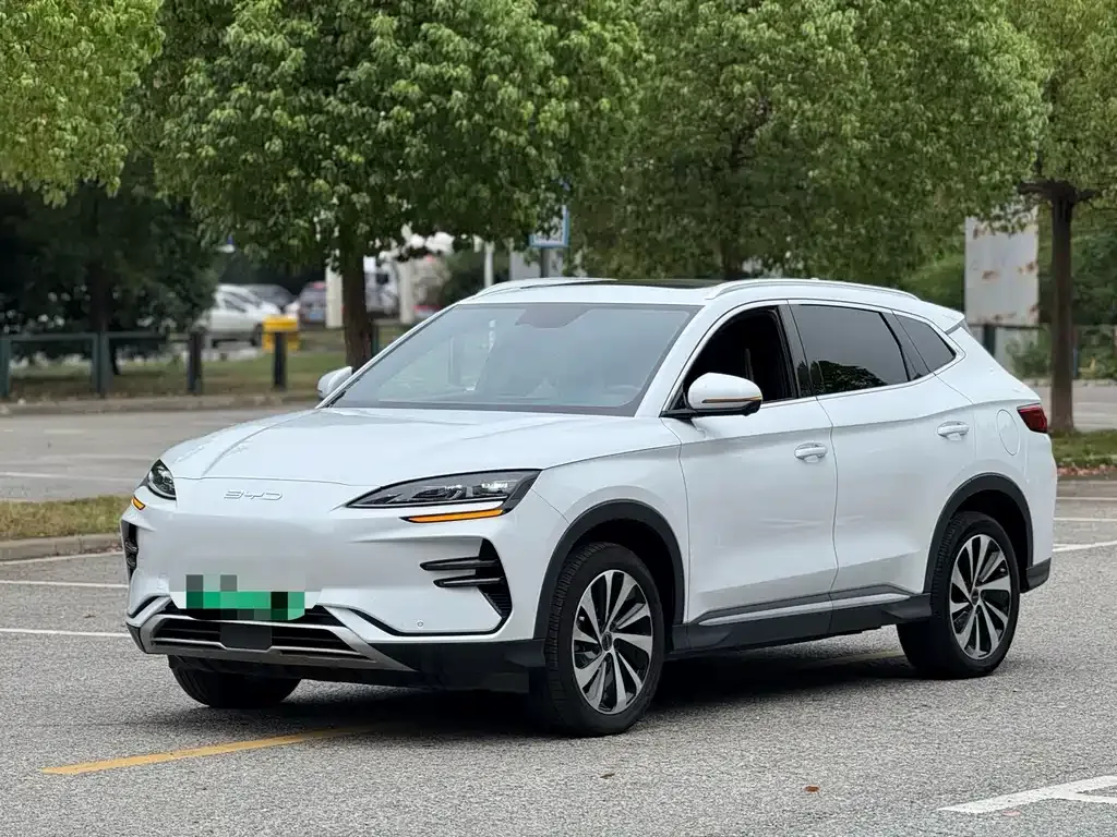 BYD PLUS New Energy — фото 1
