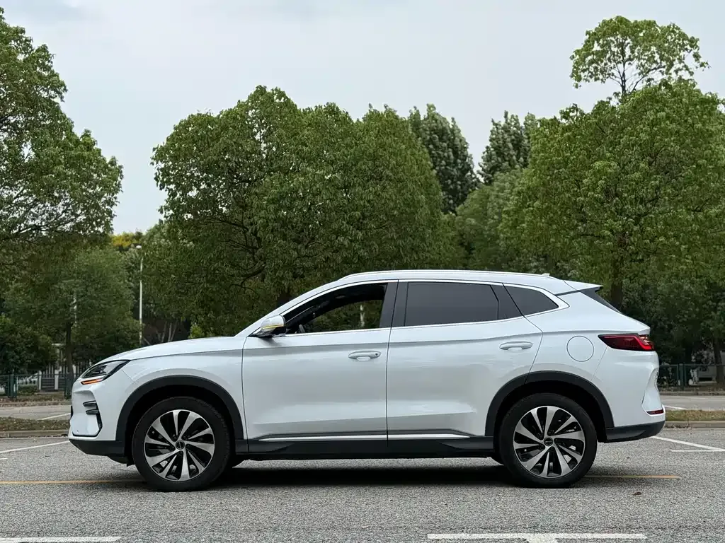 BYD PLUS New Energy — фото 6