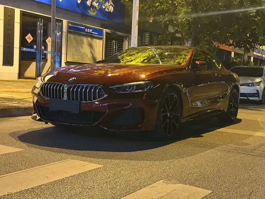 BMW 8 Series — фото 1