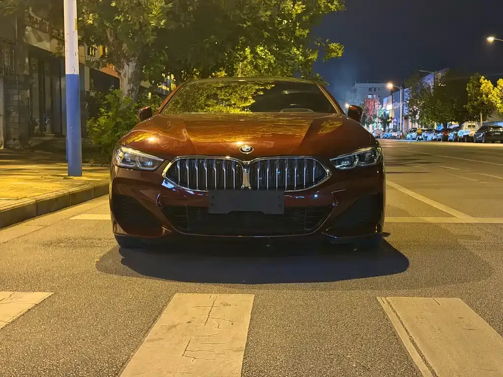 BMW 8 Series — фото 8