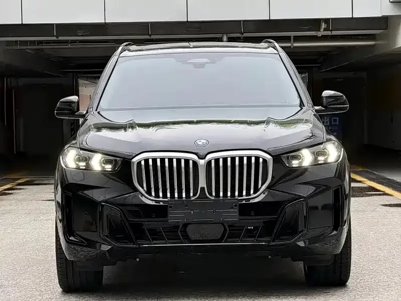 BMW X5 — фото 1