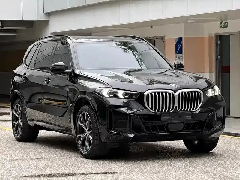 BMW X5 — фото 9