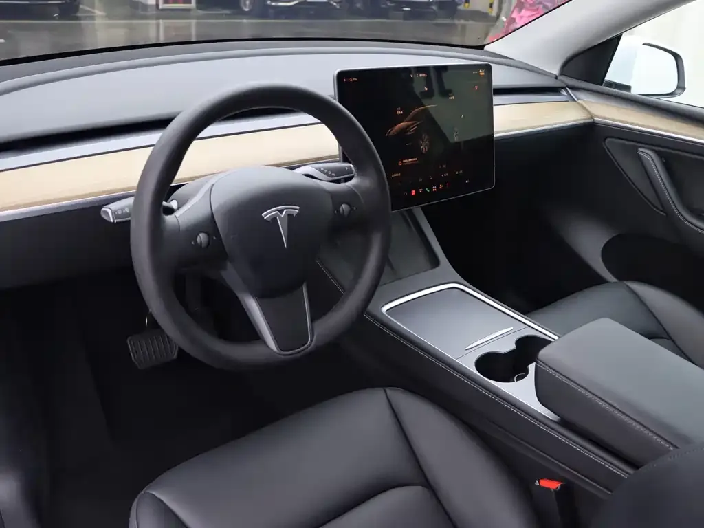 Tesla Model Y — фото 10