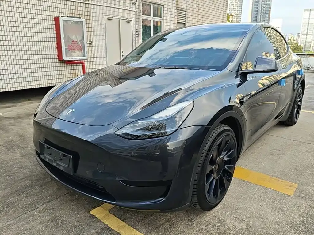 Tesla Model Y — фото 1