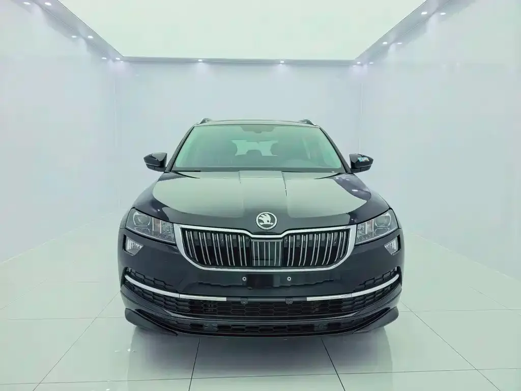 Skoda Karoq — фото 7