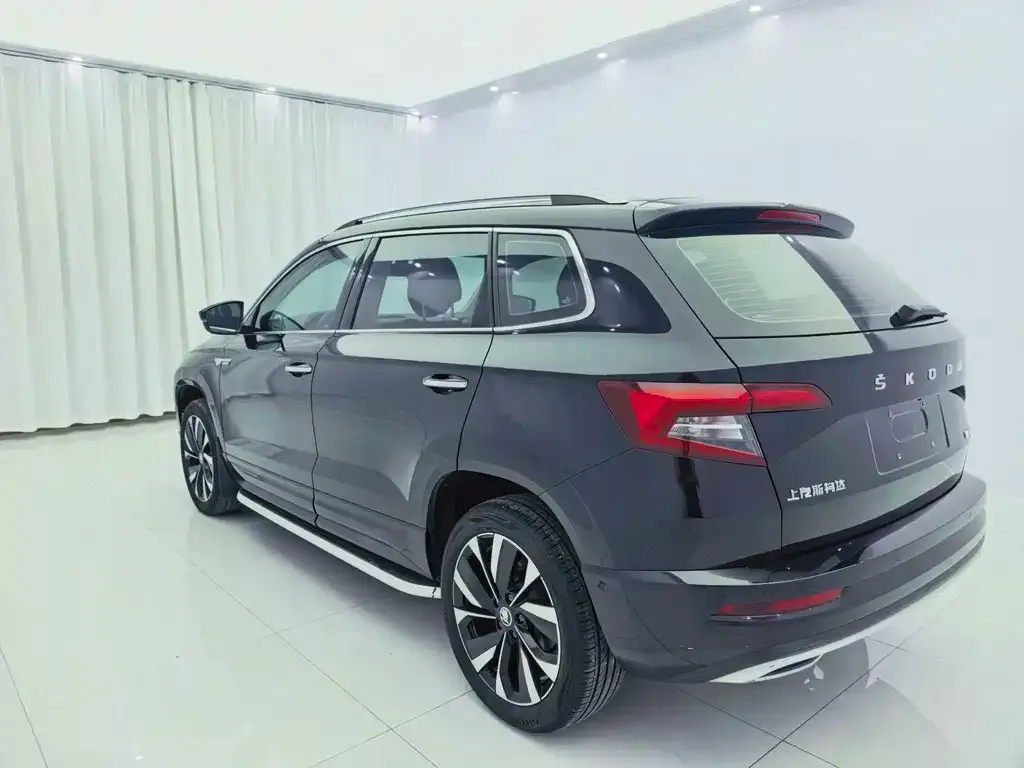 Skoda Karoq — фото 8