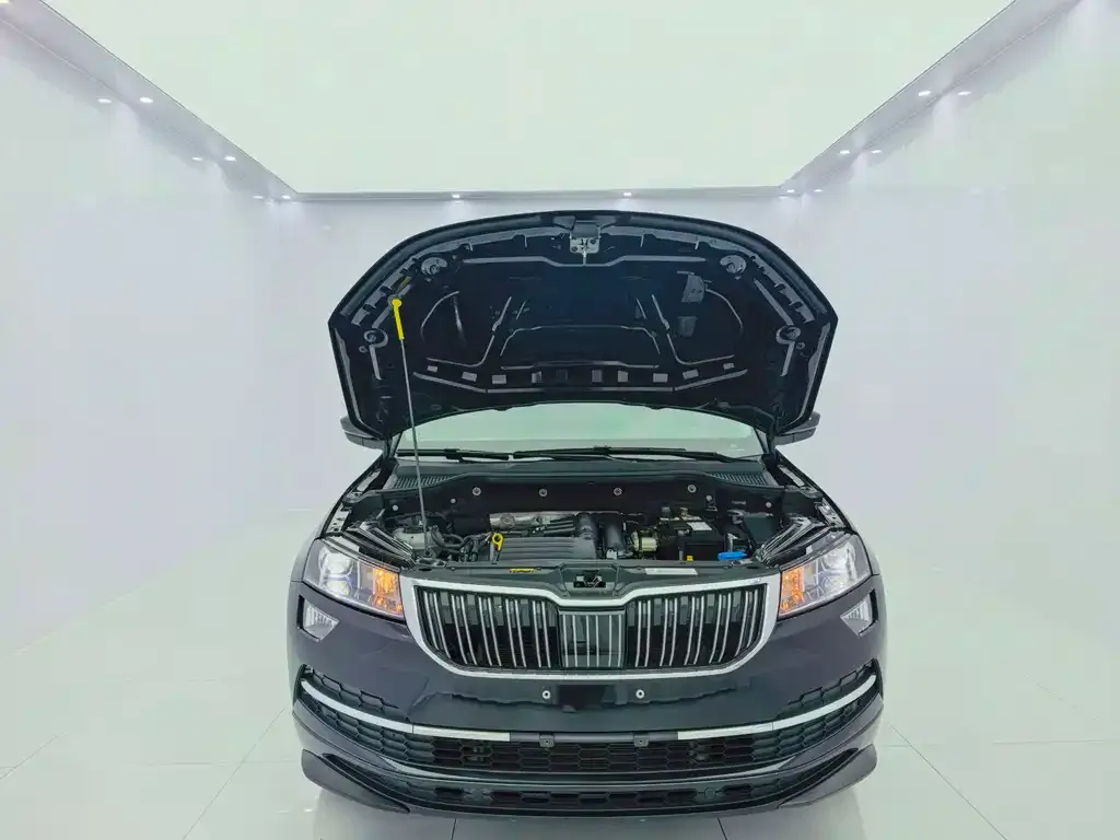 Skoda Karoq — фото 5