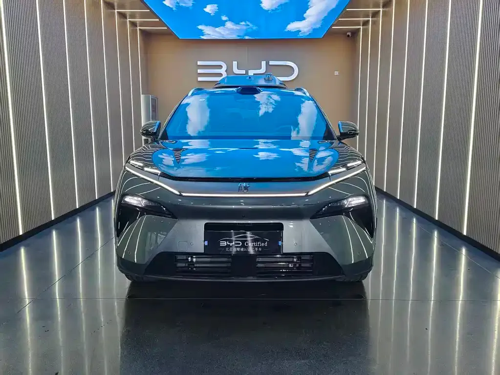 BYD Tang L — фото 6