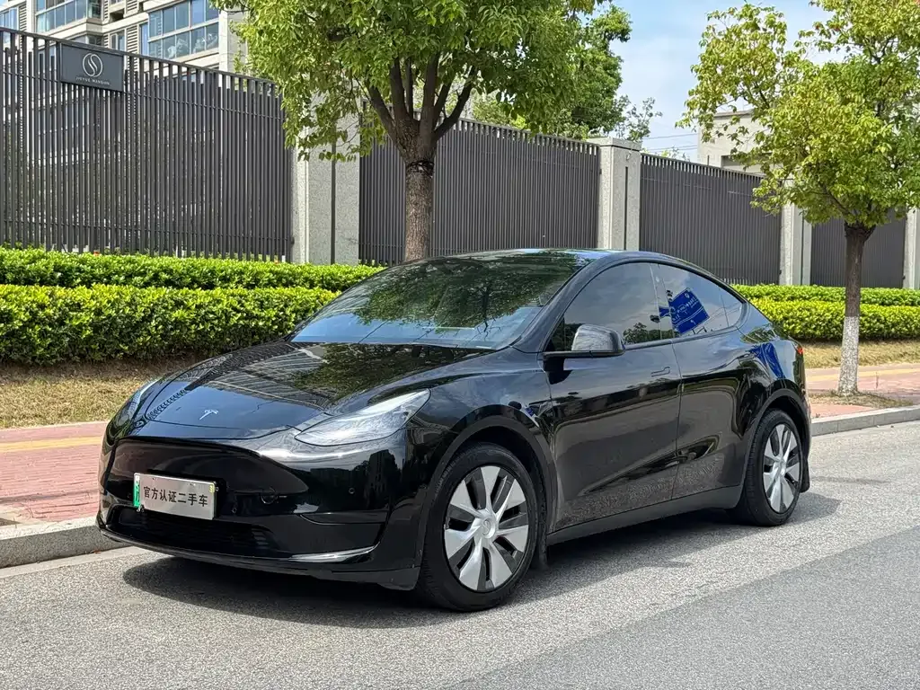Tesla Model Y — фото 1