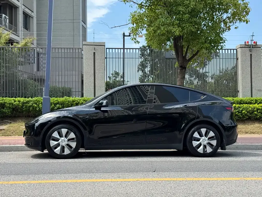 Tesla Model Y — фото 6