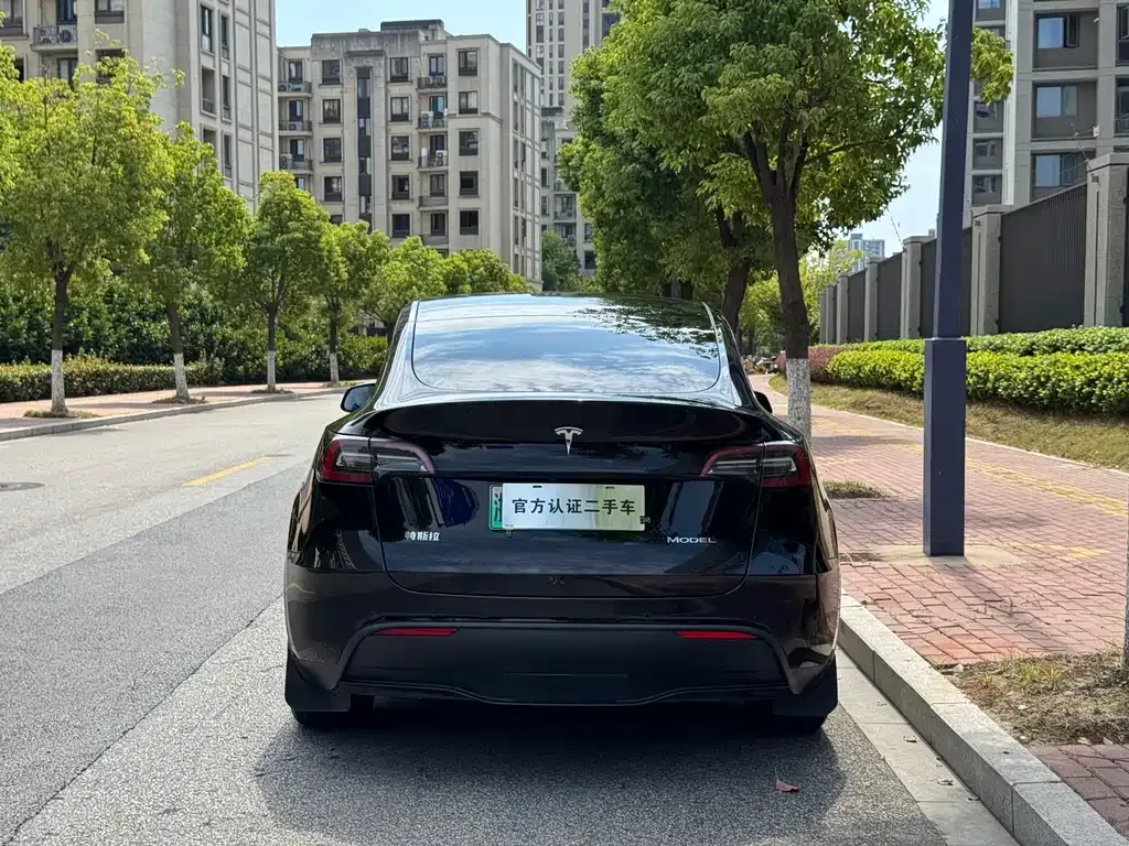 Tesla Model Y — фото 5