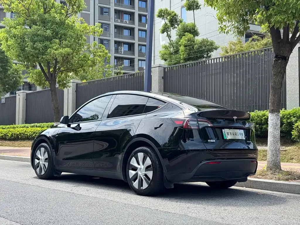 Tesla Model Y — фото 9
