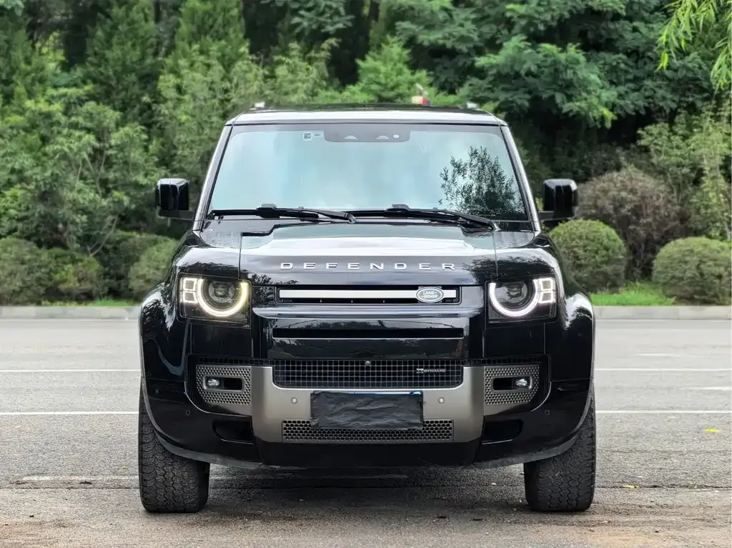 Land Rover Defender — фото 8