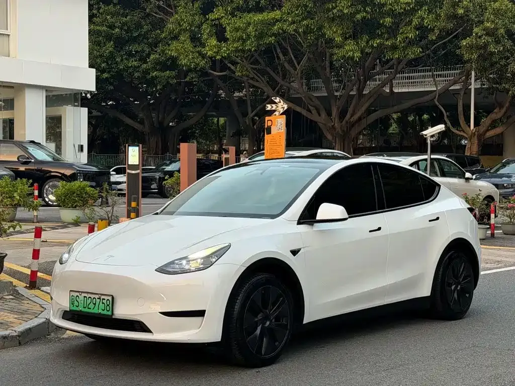 Tesla Model Y — фото 1