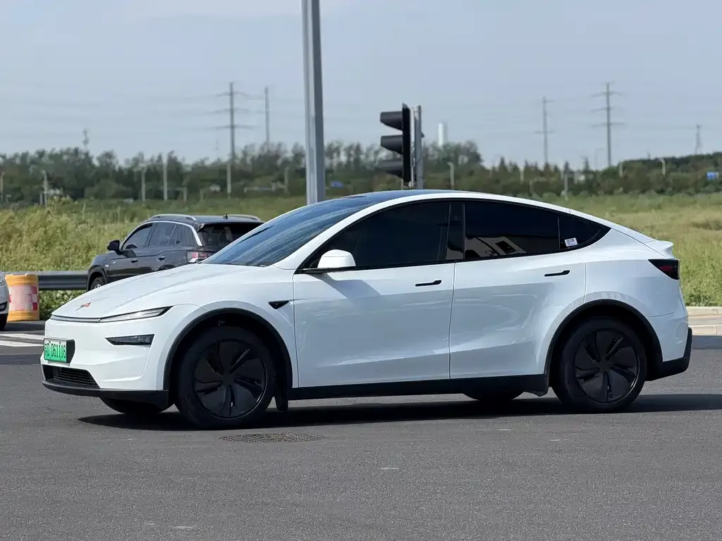 Tesla Model Y — фото 10
