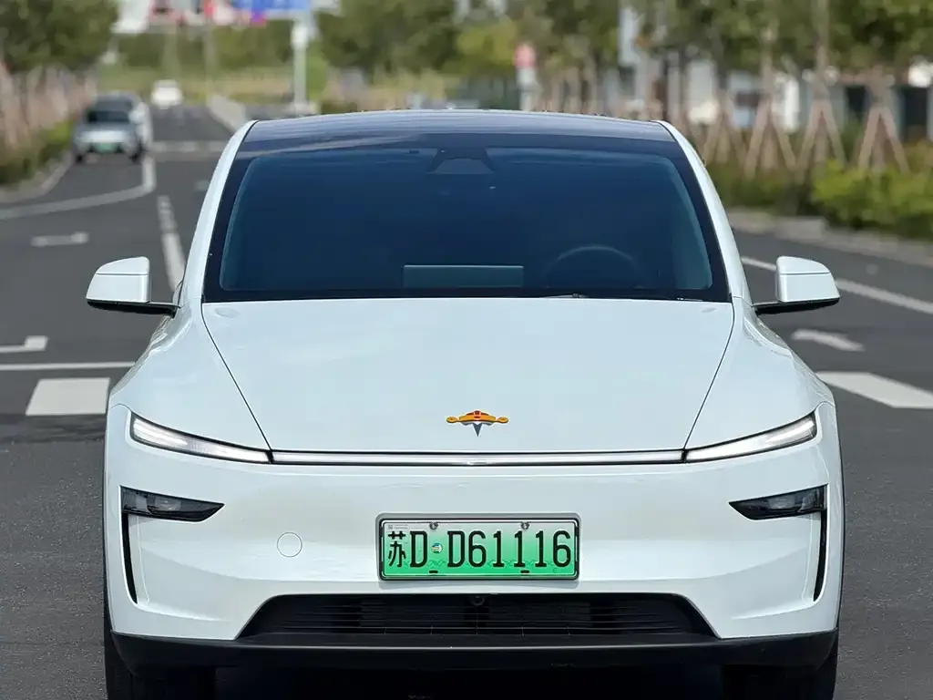 Tesla Model Y — фото 4