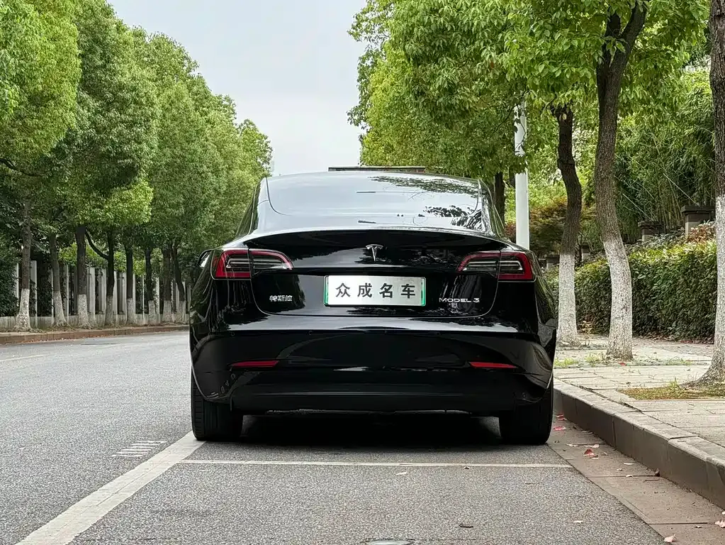 Tesla Model 3 — фото 6