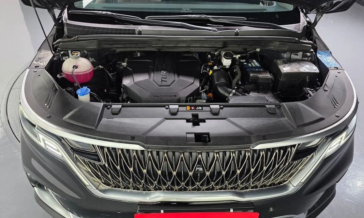 Kia Carnival — фото 10
