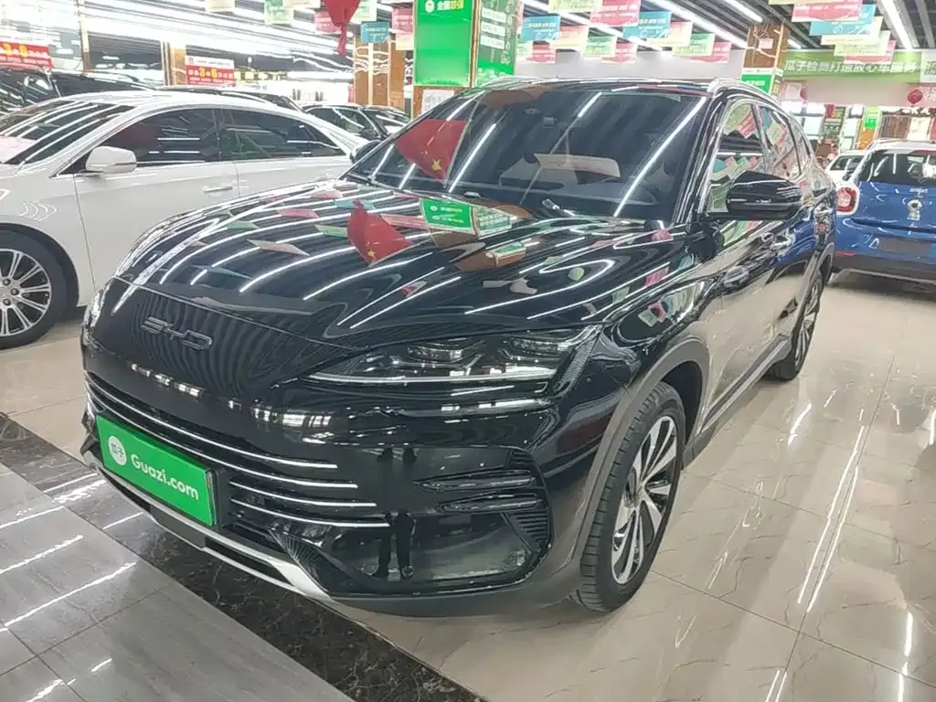 BYD PLUS New Energy — фото 10