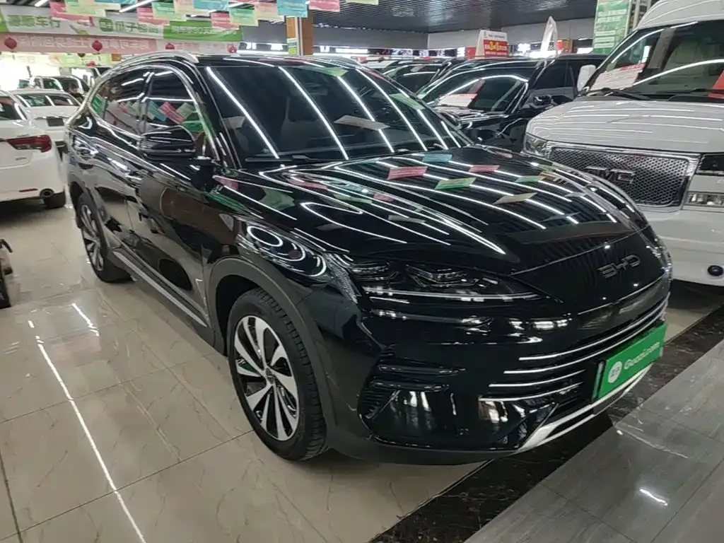 BYD PLUS New Energy — фото 8