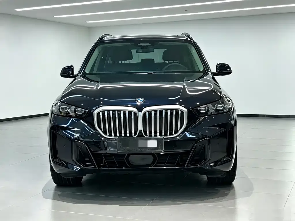 BMW X5 — фото 10