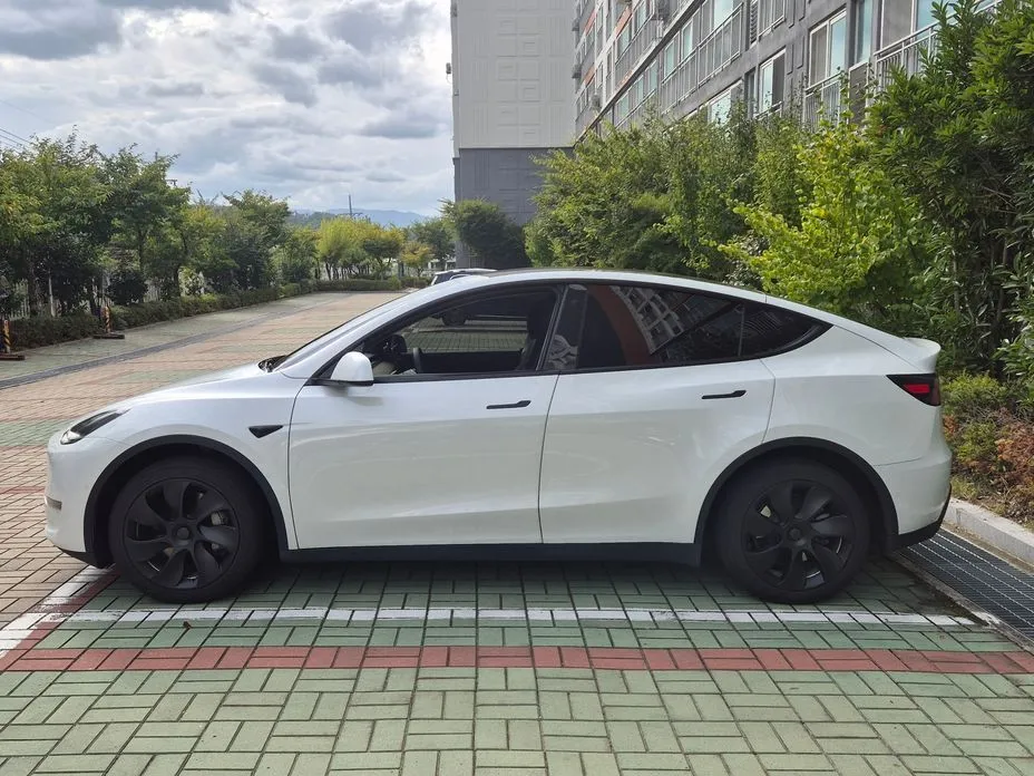 Tesla Model Y — фото 7