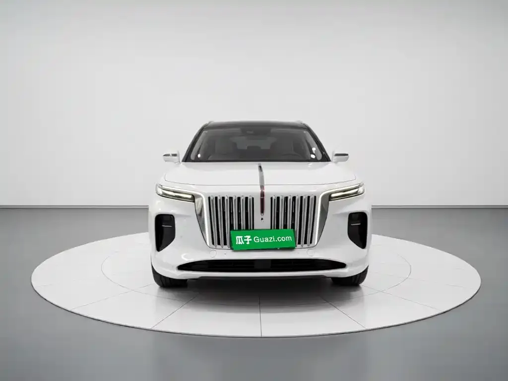 Hongqi E-HS9 — фото 3