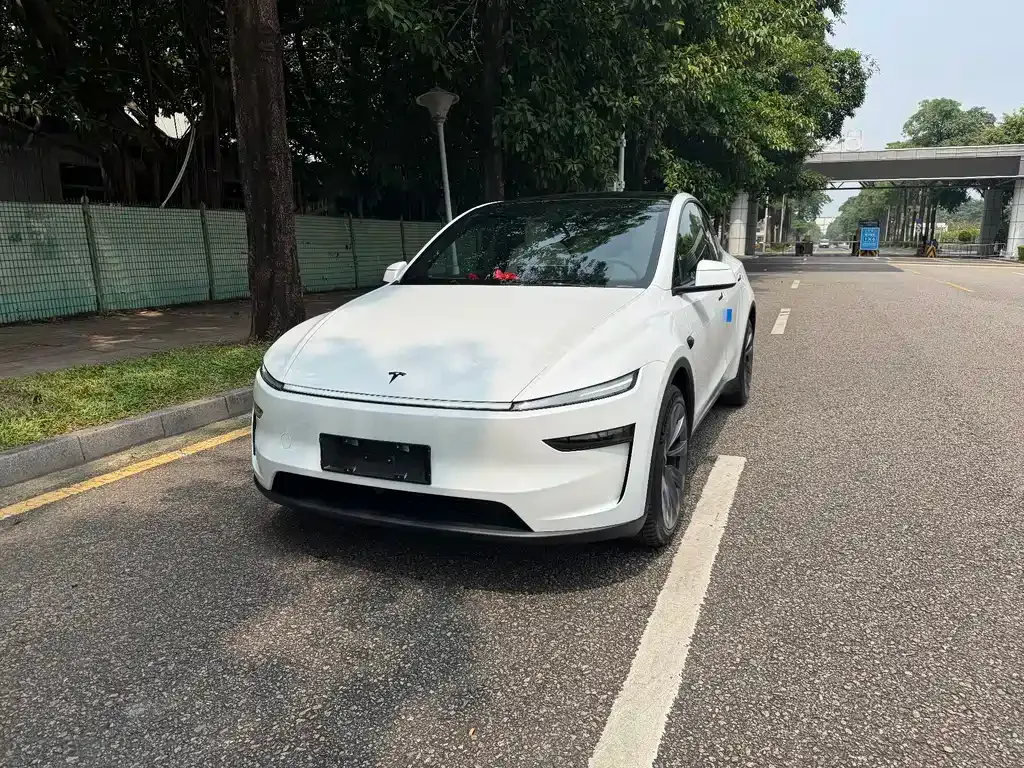 Tesla Model Y — фото 1
