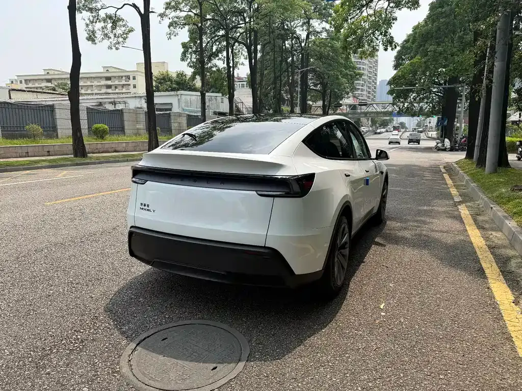 Tesla Model Y — фото 6