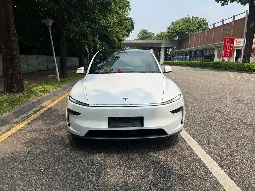 Tesla Model Y — фото 8