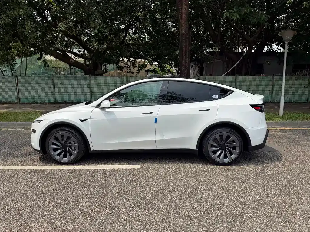 Tesla Model Y — фото 10