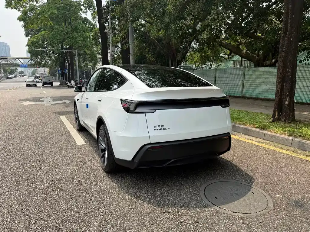 Tesla Model Y — фото 7