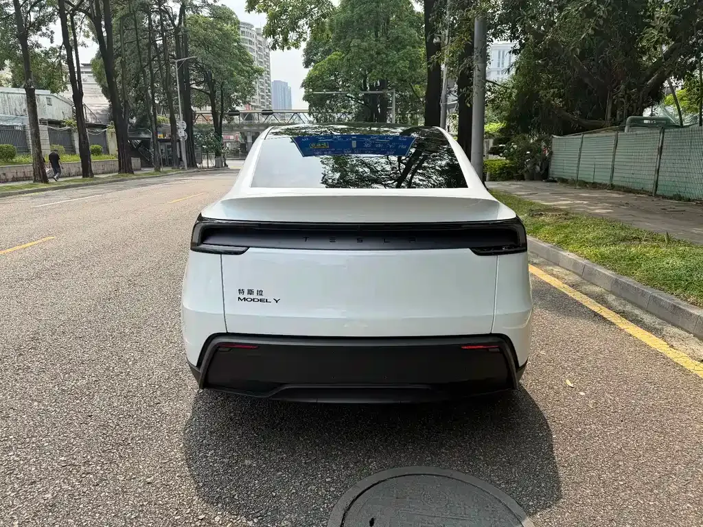 Tesla Model Y — фото 9