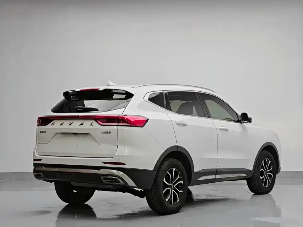 Haval H6 — фото 8