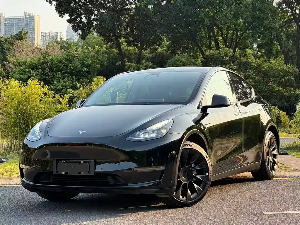 Tesla Model Y — фото 1