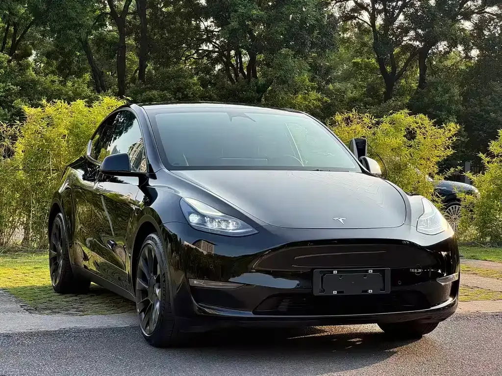 Tesla Model Y — фото 7