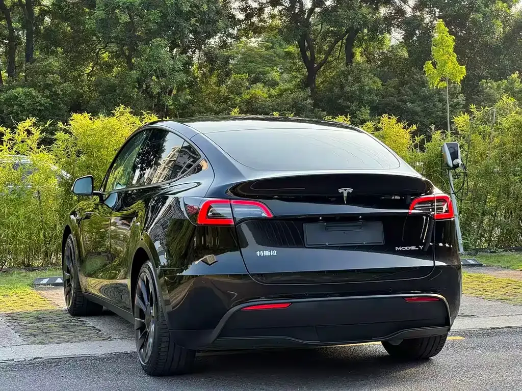 Tesla Model Y — фото 10