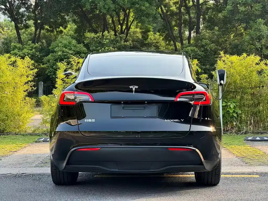 Tesla Model Y — фото 5