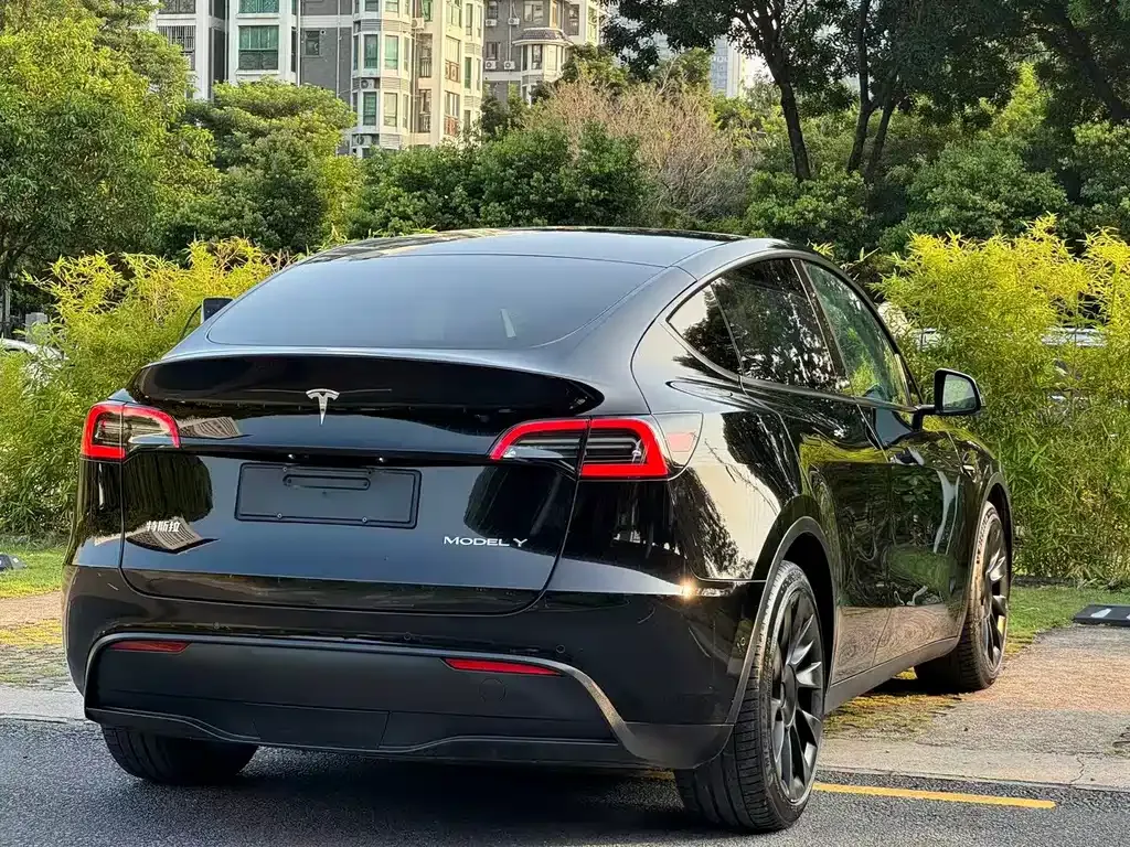 Tesla Model Y — фото 4