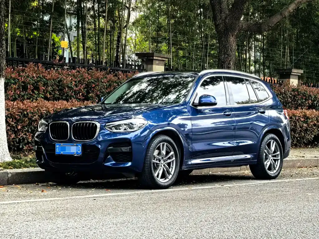 BMW X3 — фото 1