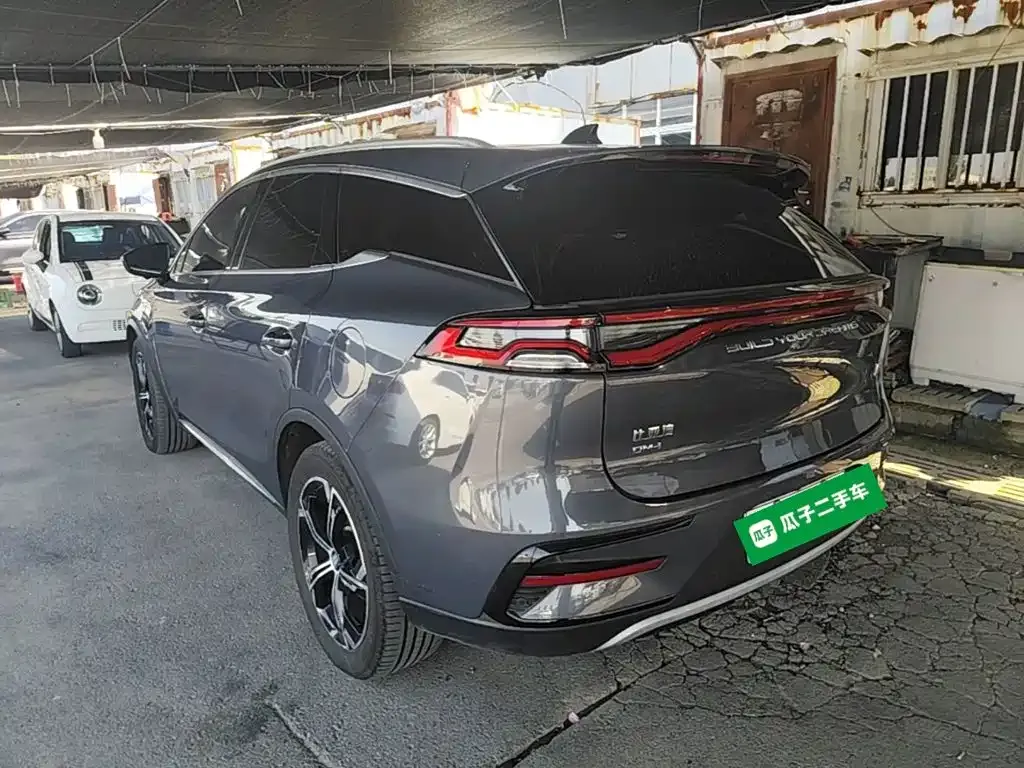 BYD Tang New Energy — фото 2