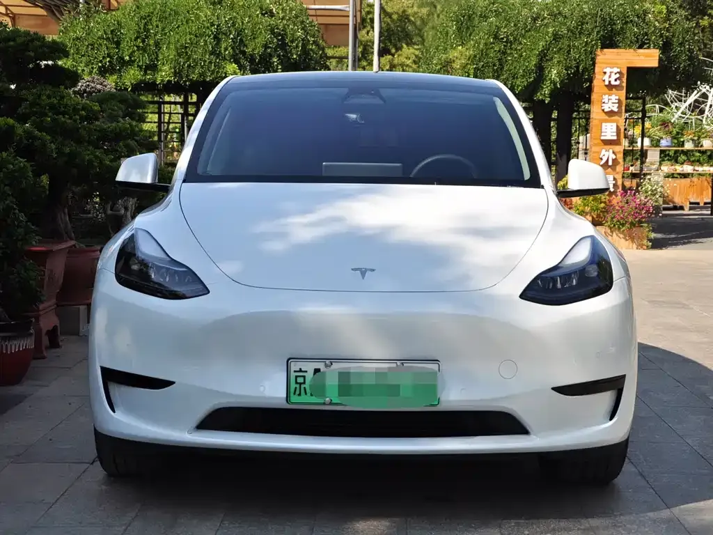 Tesla Model Y — фото 6