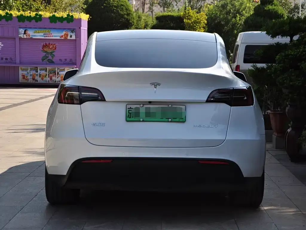 Tesla Model Y — фото 3
