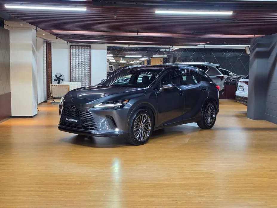 Lexus RX — фото 1